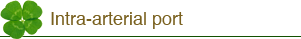 Intra-arterial port