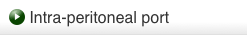 Intra-peritoneal port