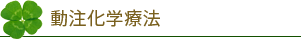 動注化学療法