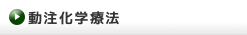 動注化学療法