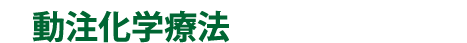 動注化学療法