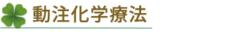 動注化学療法